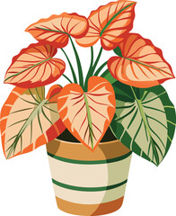 Obraz premium Begonia in patterned pot