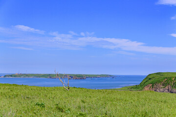 北海道浜中町、琵琶瀬から望む嶮暮帰島（けんぼっきとう）。7月の青空と太平洋の青い海が広がる爽やかな夏の風景。澄み切った空気と美しい水平線が魅力的な景色