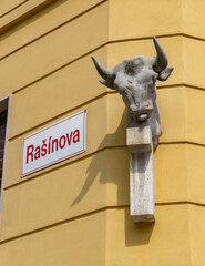 Rasinova Street Bull Bust