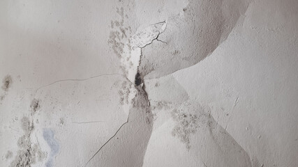 Damp and Cracked Wall Texture