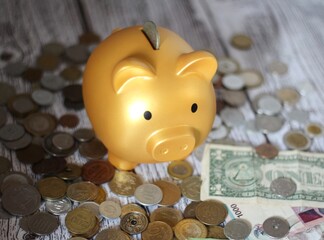 Piggy bank coins money of different countries saving finance keep	

