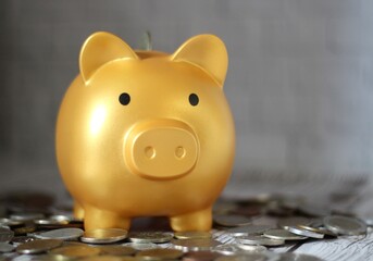 Piggy bank coins money of different countries saving finance keep	

