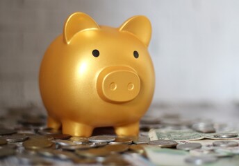 Piggy bank coins money of different countries saving finance keep	
