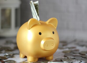 Piggy bank golden and dollar and different coins safe keep money finance photo	
