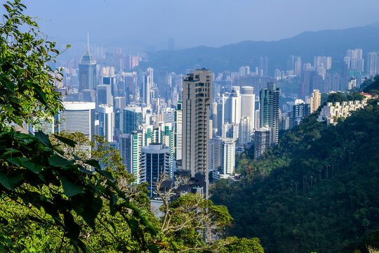 A panoramic view of Hong Kong dense cityscape, showcasing towering skyscrapers and a lush green hillside. The blue sky with a single fluffy cloud provides a picturesque backdrop.