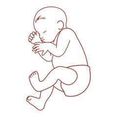 Minimalist Line Art of a Sleeping Baby in Fetal Position