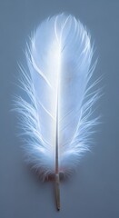 Ethereal White Feather Floating Serene on Light Blue Background, Detailed Plumes with Soft Glow, Delicate Texture