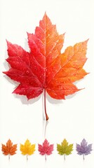 Obraz premium Colorful autumn leaves showcasing a gradient of shades against a plain background