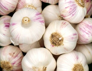 Macro photo of fresh garlic on dark green background