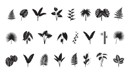 Jungle Plant Silhouette Set. Exotic Tropical Leaf Vector Collection.