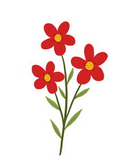 red flowers on white background