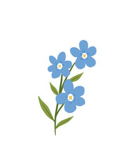 blue flowers on white background