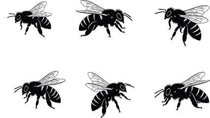 Bee silhouette illustration, honeybee icons, insect clipart, flying bee art, vector bees, black bee drawings, pollinator graphics, decorative insect design elements