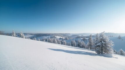 Fototapeta premium Winter Landscape, snow-covered hills and pine trees under a clear blue sky, with soft sunlight casting gentle shadows across the pristine white scenery.