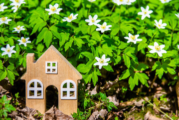 The symbol of a house in a forest clearing among white snowdrops
