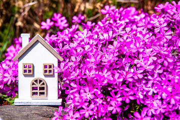 The symbol of the house stands among the purple flower
