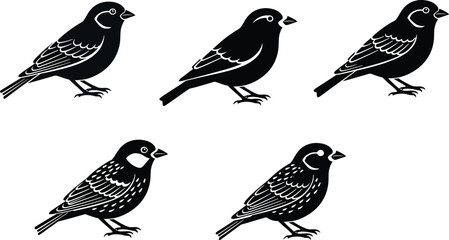 Silhouette birds illustration, sparrow icons, bird clipart, songbird silhouettes, black bird art, vector birds, decorative sparrows, bird design elements