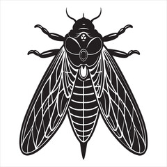 A Loud and Buzzing Cicada, a Natural Phenomenon and a Summer Symbol, Perched and Singing on a Tree Branch After a Long Emergence