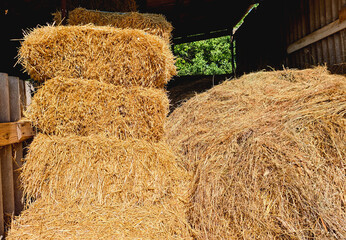 Stacked hay bales and loose straw in a barn, rural farm storage on a sunny day.