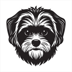 A Playful and Energetic Maltese, a Happy and Adorable Companion Running and Leaping with Joy Through a Sunlit Outdoor Park