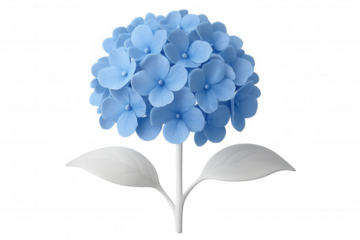 3d rendering blue hydrangea flower, white stem, transparent backdrop, pristine botanical digital illustration for design projects