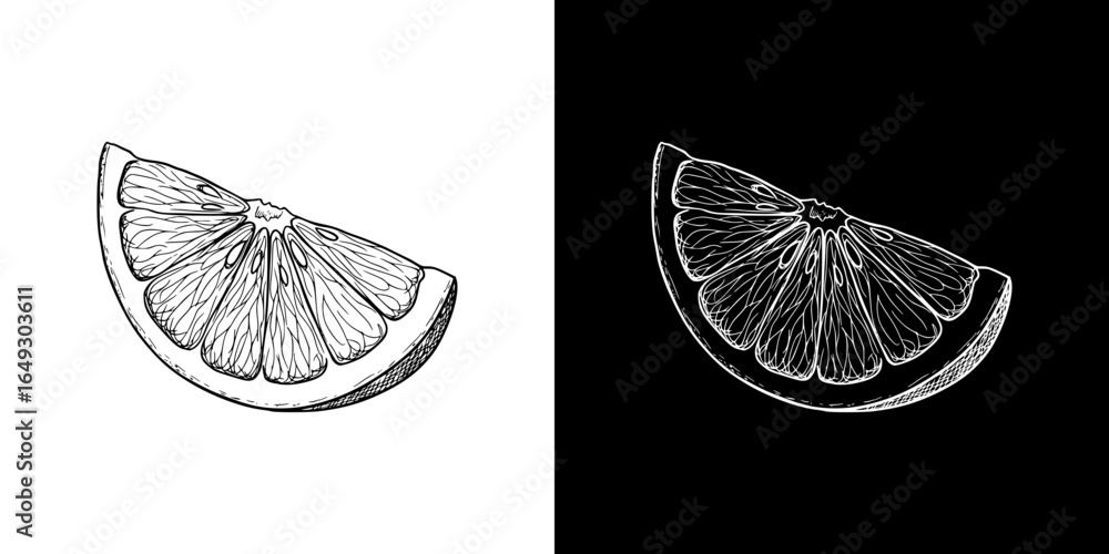 Poster isolated vector image of a lemon slice, two design options on transparent and black backgrounds, pen