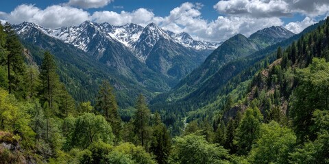 Fototapeta premium Mountain valley with snow-capped peaks. Lush greenery surrounds a deep valley