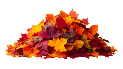 Vibrant pile of colorful autumn leaves in warm hues of red, orange, and yellow, perfect for seasonal designs isolated on white background 