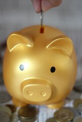 A piggy bank and a human hand putting the coin into the piggy save keep money photo 
