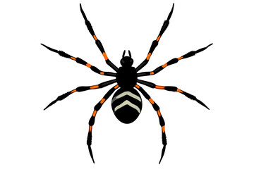 Obraz premium Close-up of a hairy brown European garden spider, an isolated arachnid, on a white background