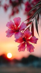 Vibrant Pink Blossoms Against a Soft Sunset Sky