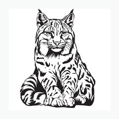 vector illustration of a cat