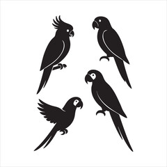 Black silhouette parrot illustration set in dynamic poses