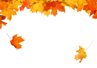 Fototapete Wasserfälle Beautiful yellow,red,orange foliage isolated. Natural background. Border frame of colorful leaves. Vibrant fall colors    © Lilya