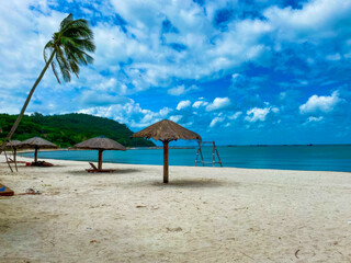 Sunlit tropical shore with verdant palm, azure serenity, perfect for National Hammock Day lounging or Solstice Beach Meditation Retreat