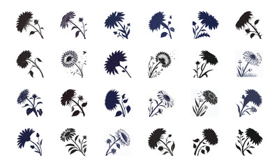 Collection of 12 Elegant Floral Silhouette and Color Illustrations Featuring Roses, Lotus, Lilies, Hibiscus, Daisies, Orchids, Sunflowers, Tulips and Decorative Mandala Flower Designs for Decorative