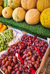 Freshly harvested grapes and melons in vibrant hues celebrate autumnal abundance, perfect for Mabon feasts and harvest festivals