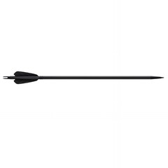 Modern black arrow with plastic vanes and sharp metal field point tip isolated on white background for contemporary archery target shooting and competition
