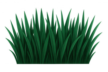 Realistic green grass growing on transparent background, perfect for nature and spring themed projects