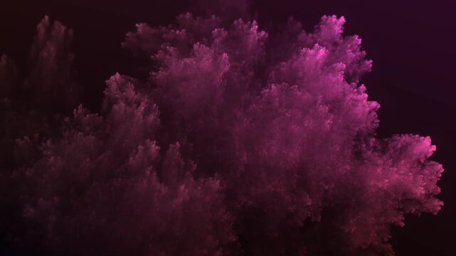 Mikroskopische filigrane organische rote Fraktalstruktur &ndash; faszinierendes Gew&auml;chs in wissenschaftlicher Forschung, Natur, Biologie, Wissenschaft, Forschung
