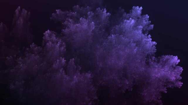 Mikroskopische filigrane organische violette Fraktalstruktur &ndash; faszinierendes Gew&auml;chs in wissenschaftlicher Forschung, Natur, Biologie, Wissenschaft, Forschung
