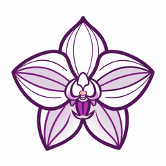 pink orchid isolated on white