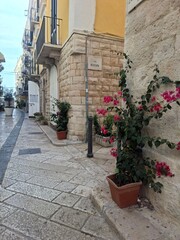 street view of the city of Trani, Italy