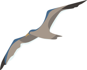 vector illustration of seabird, seagull