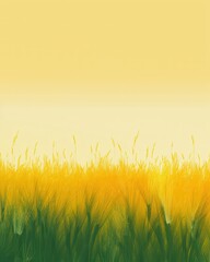 Gradient of spring wheat fields in golden yellow and khaki  raw