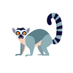 Cute Lemur. Flat vector clipart, illustration with isolated background.