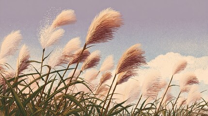 淡い空に揺れるススキの穂