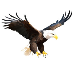 Obraz premium Eagle Portrait with transparent background in tiff.png file