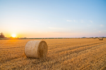 Susnset on field after harvest III