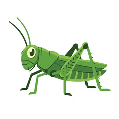 Grasshopper cartoon character isolated on a white background